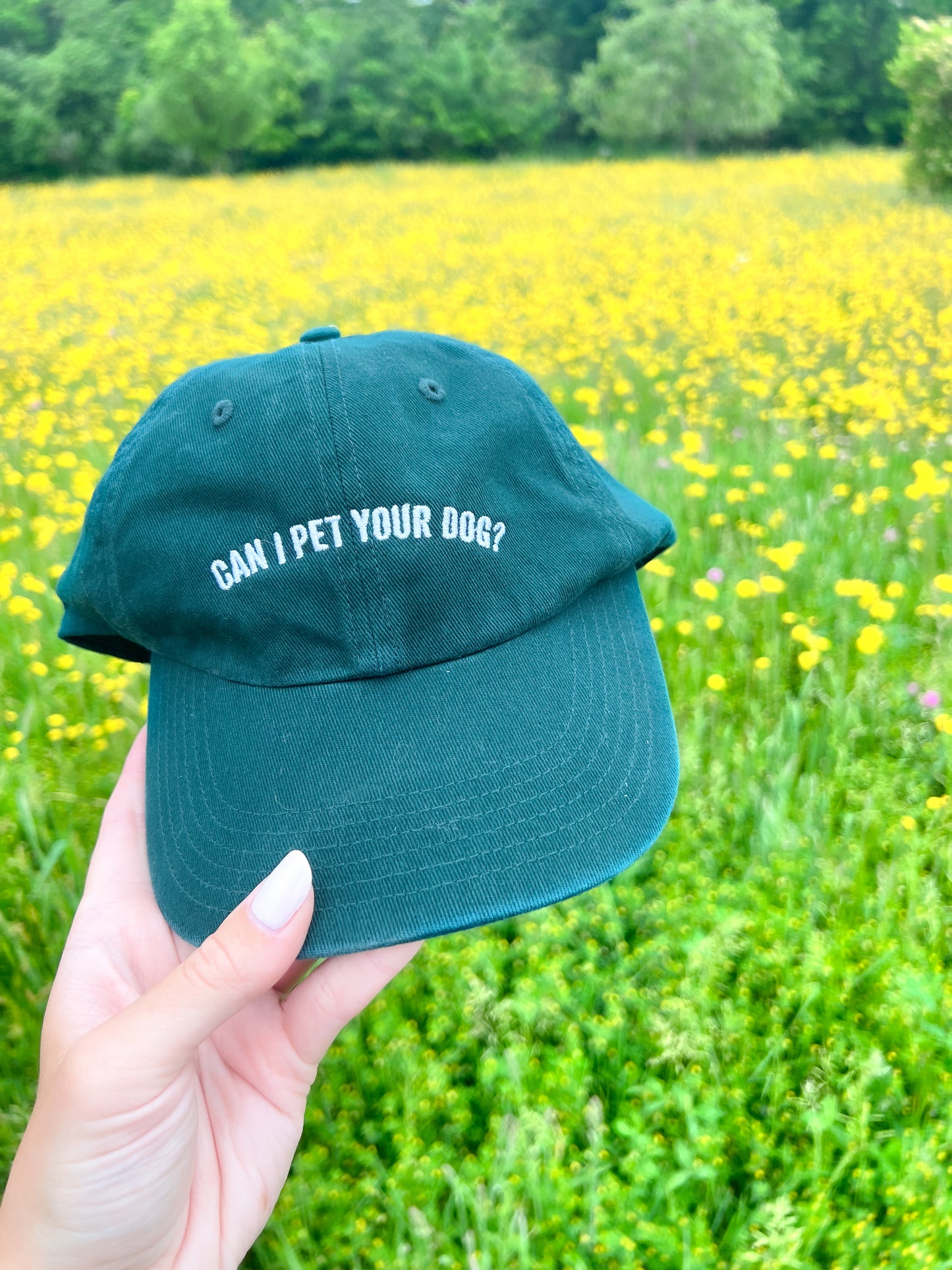 "Can I Pet Your Dog?" Baseball Hat