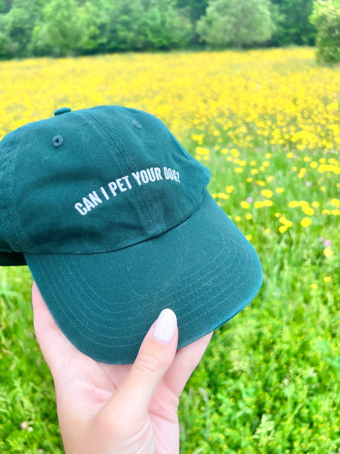 "Can I Pet Your Dog?" Baseball Hat