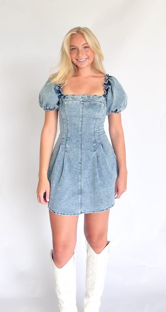 Skye Elastic Denim Dress